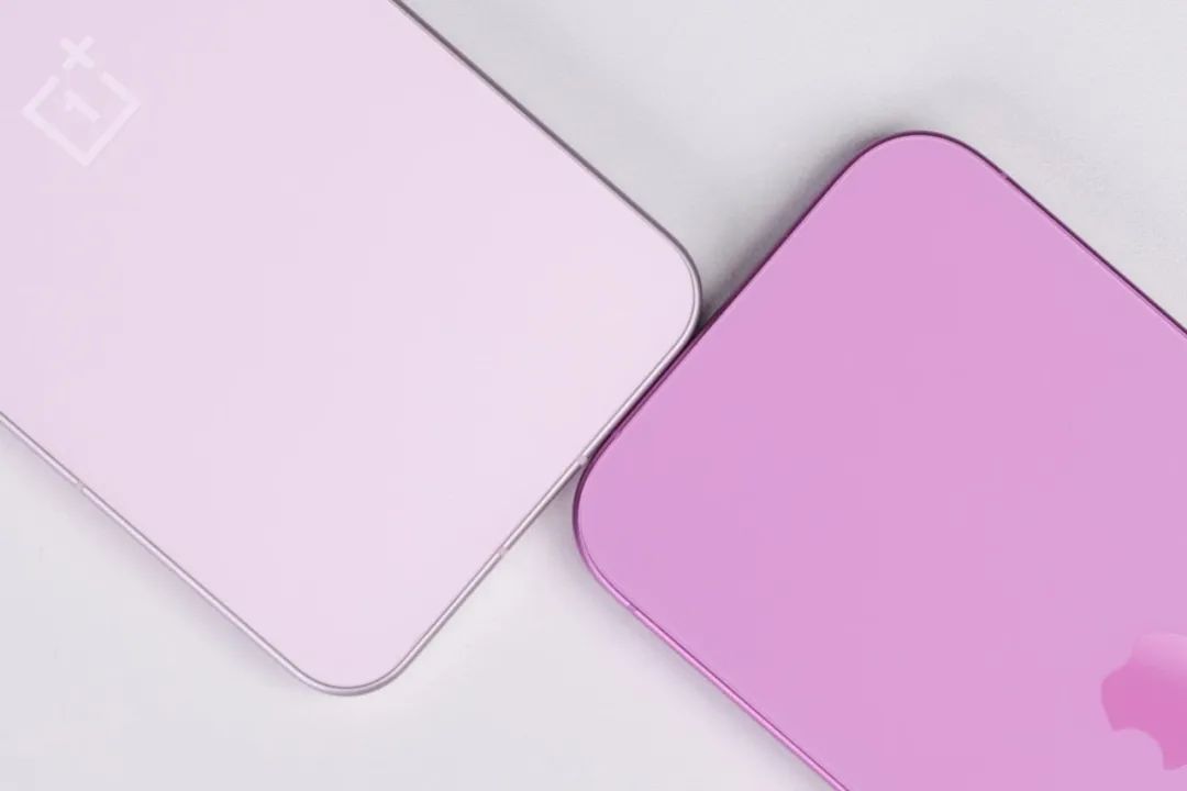 OnePlus 13T Display